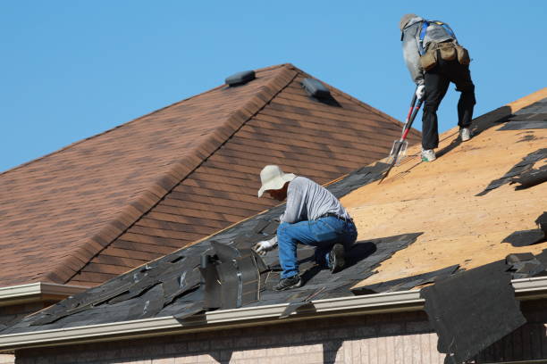 Best Solar Panel Roofing Installation  in Chillicothe, MO